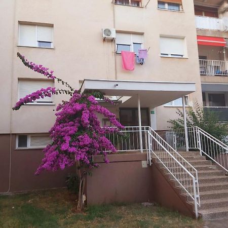 Apartamento Popovic Pula Exterior foto