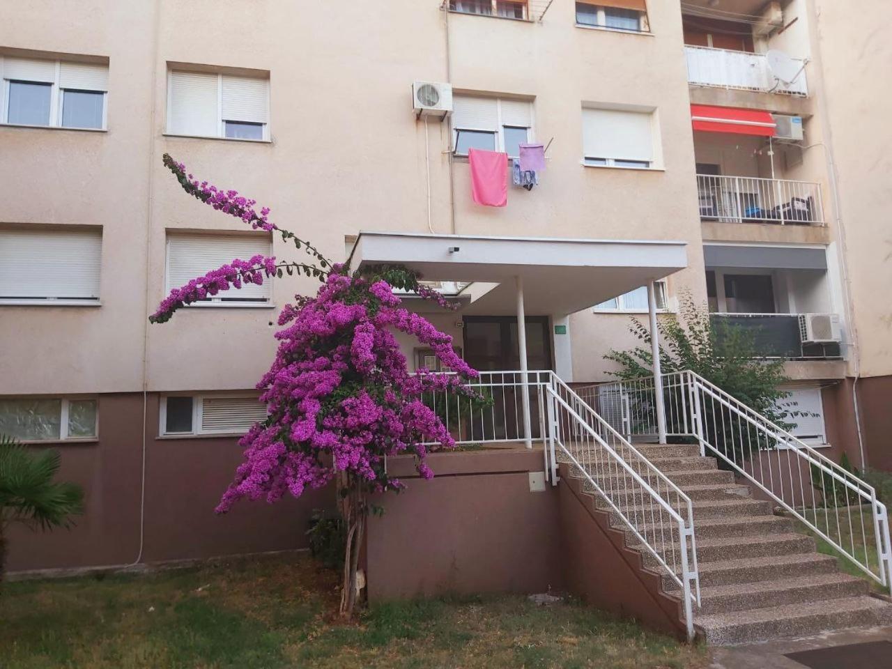 Apartamento Popovic Pula Exterior foto